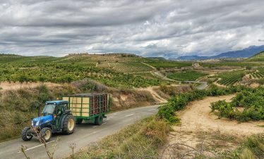 Rioja from 255€ (full day)