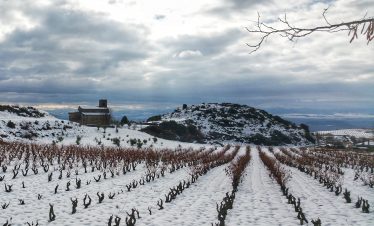 Rioja from 175€