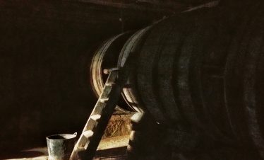Visita La Bodega del Tesoro